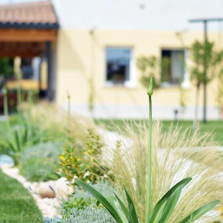 Agriturismo Pepe Rosa Rivoli Veronese エクステリア 写真