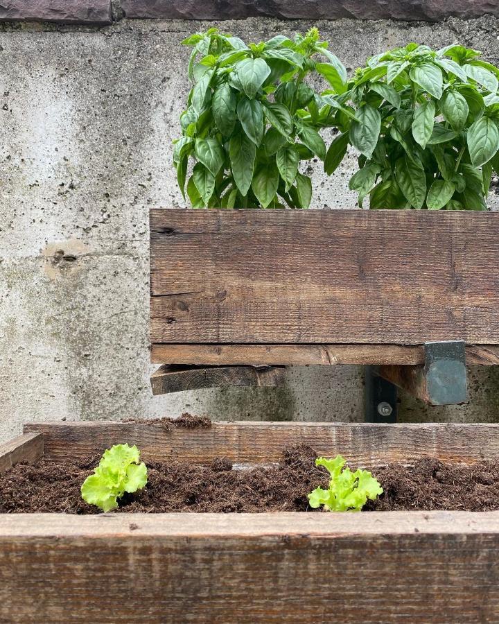 Agriturismo Pepe Rosa Rivoli Veronese エクステリア 写真